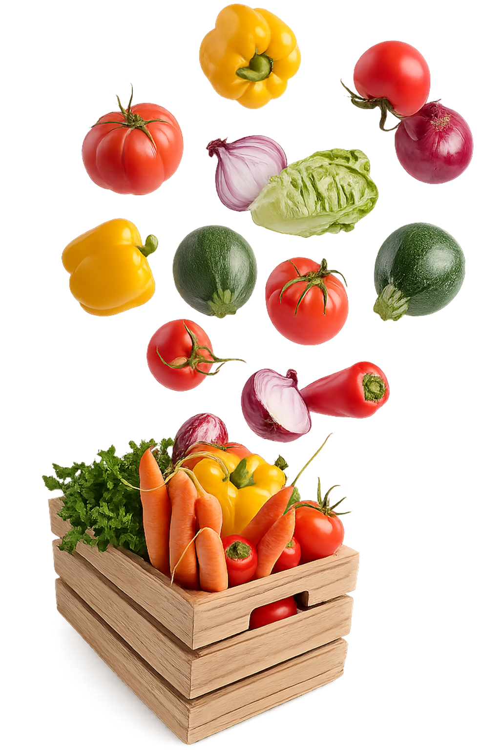 Fresh Farm Vegetables