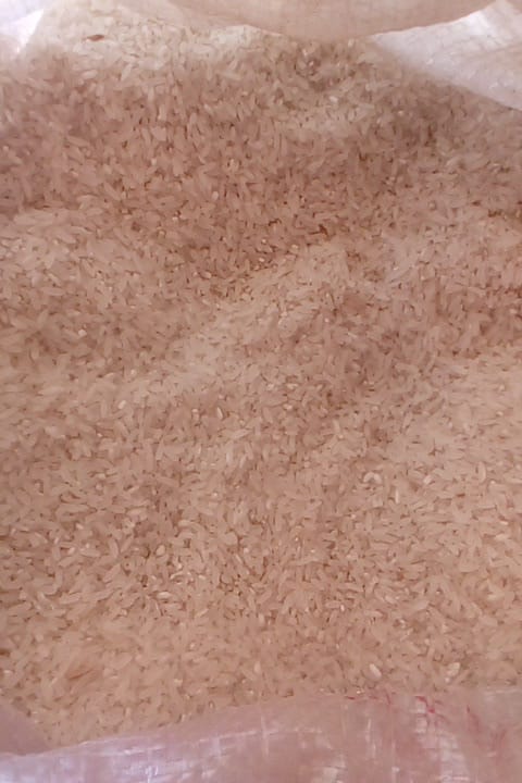 Rice