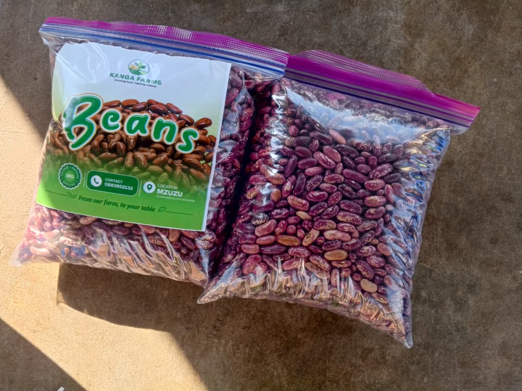 Beans